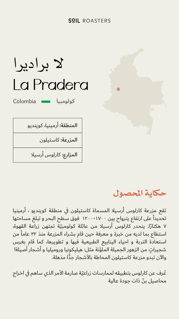 Colombia - La Pradera (Premium Lot)- 1KG - Soil Roastery
