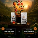 Limited Box of Excellence (Premium & Limited  Lots) - 200+200g - Spirit Hub Roastery (copy)
