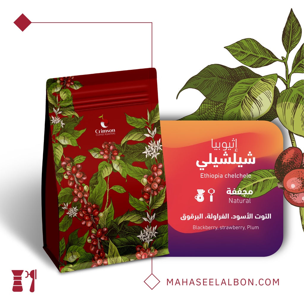 Arriyadh Roaster Box for espresso