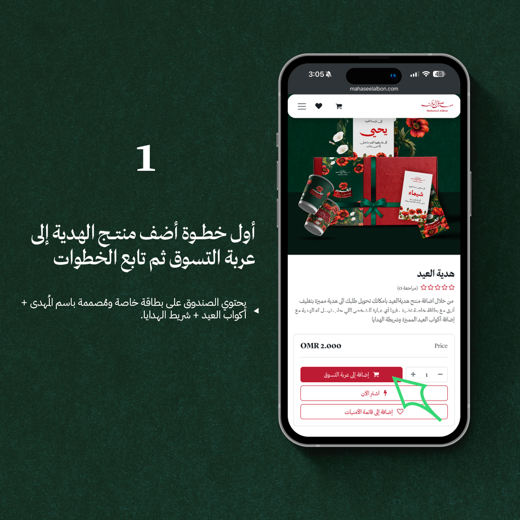 g3 copy 2@3.21x-100.webp