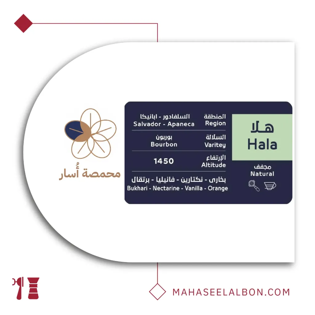 السلفادور - هلا - ٢٥٠  جرام - محمصة أسار