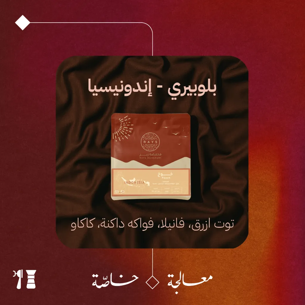 إندونيسيا - بلوبيري (معالجة خاصّة) - ١٢٥  جرام - محمصة ريز