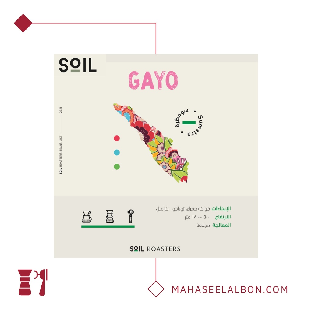 Gayo - Sumatra -250g- Soil Roastery 