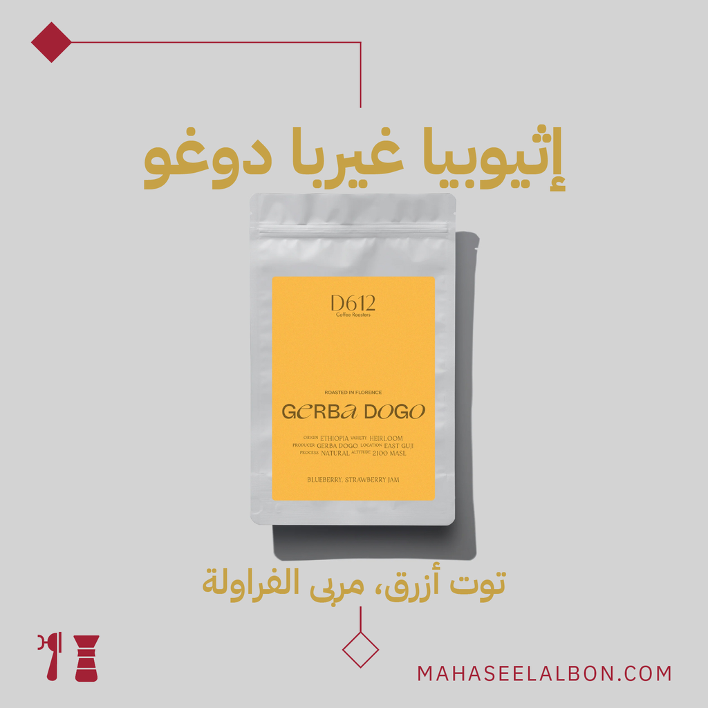 إثيوبيا - جيربا دوغو - ٢٥٠  جرام - محمصة دي ٦١٢