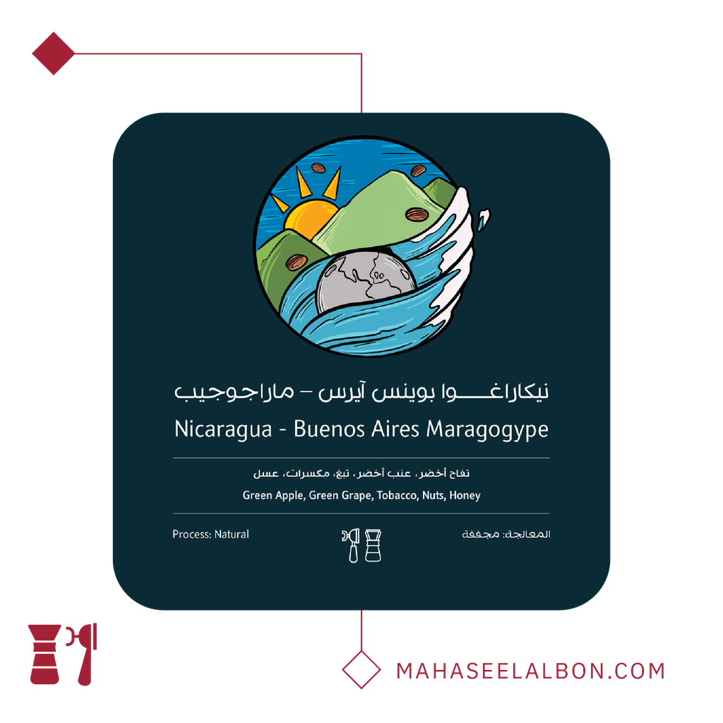 نيكاراغوا بوينس آيرس - ماراجوجيب - ٢٥٠  جرام - محمصة أسطول البن