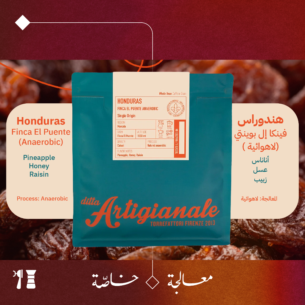 هندوراس - فينكا إل بوينتي كاتواي (لاهوائية) - ٢٥٠  جرام - محمصة ديتّا أرتيجيانالي