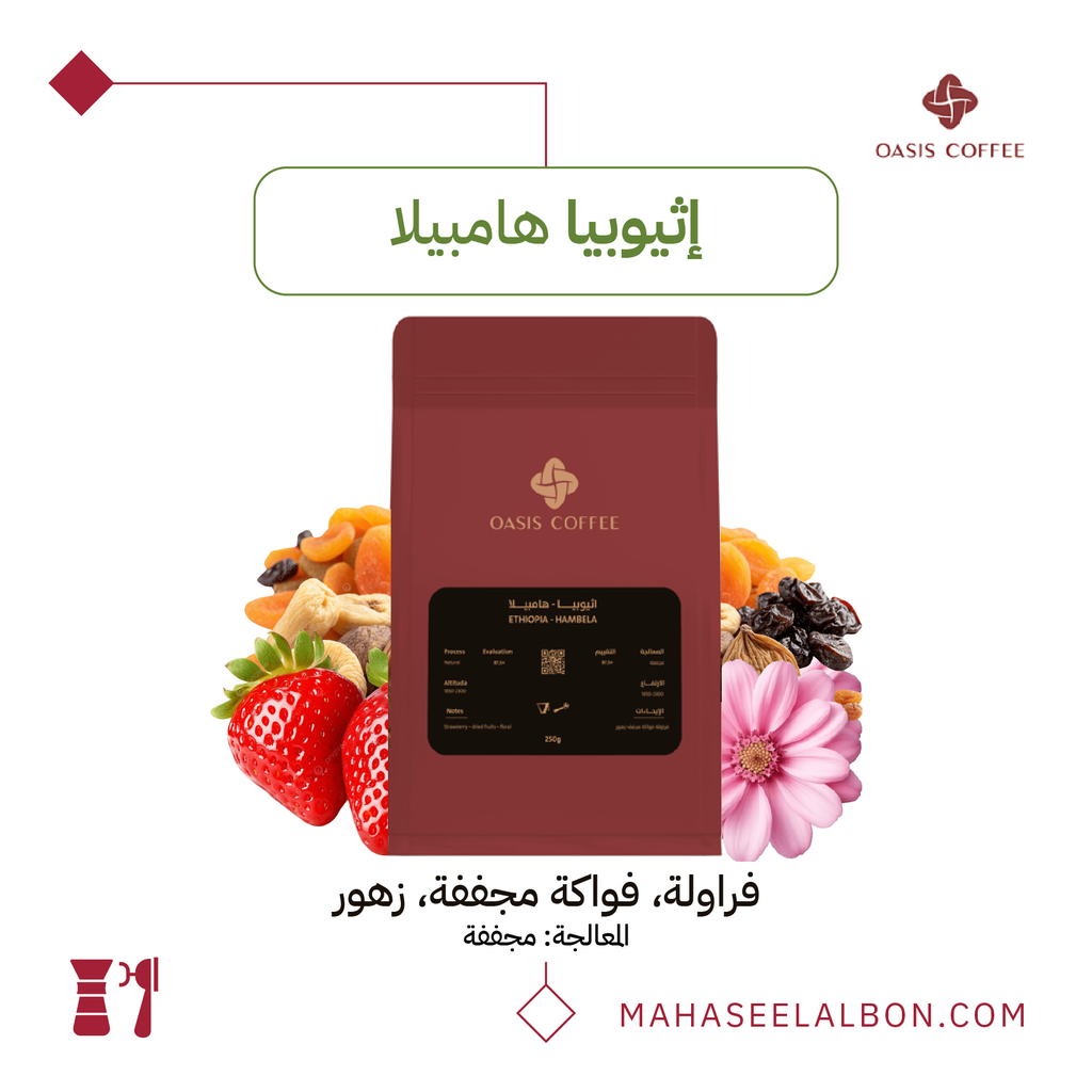 إثيوبيا - هامبيلا - ٢٥٠  جرام - محمصة اويسيس 