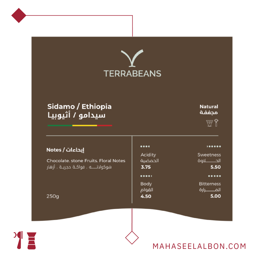 Ethiopia - Sidamo - 250g - Terra Beans Roastery