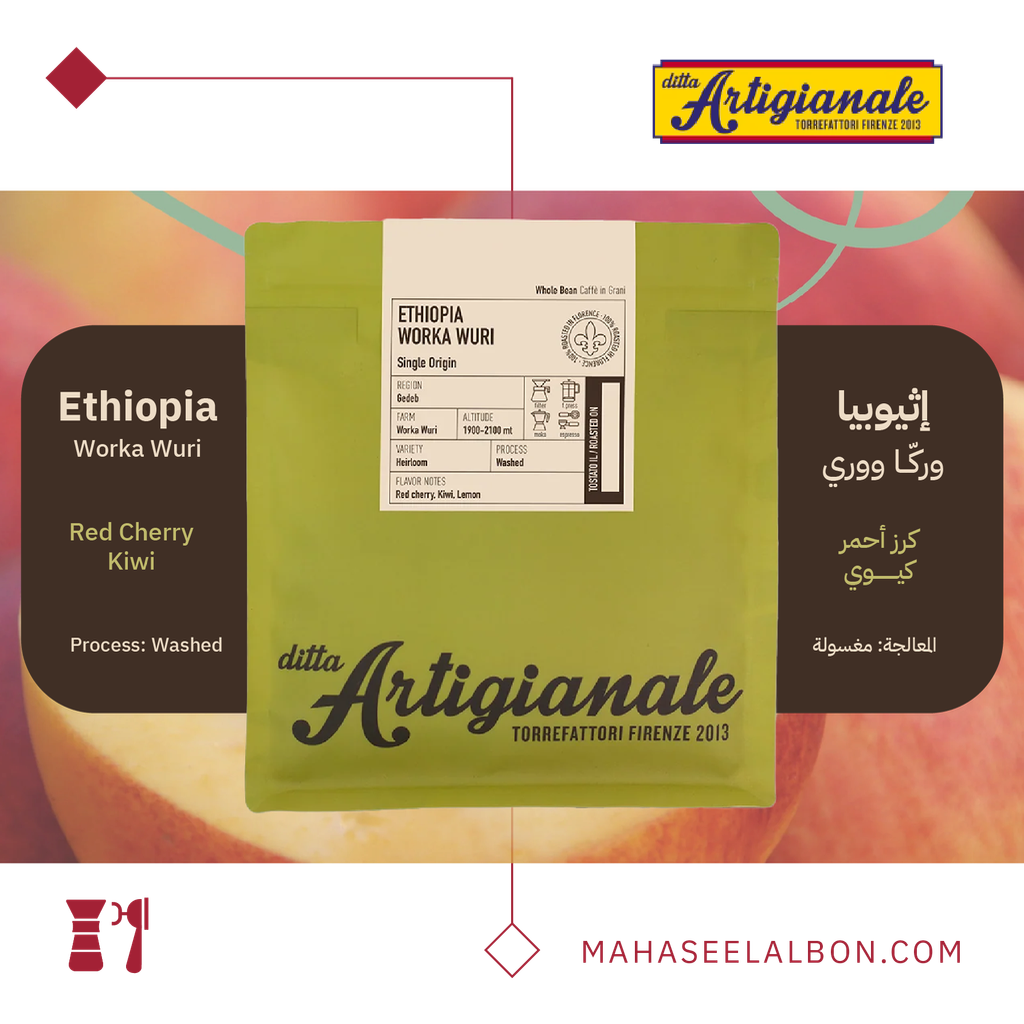 Ethiopia - Worka Wuri - 250g - Ditta Artigianale Roasters