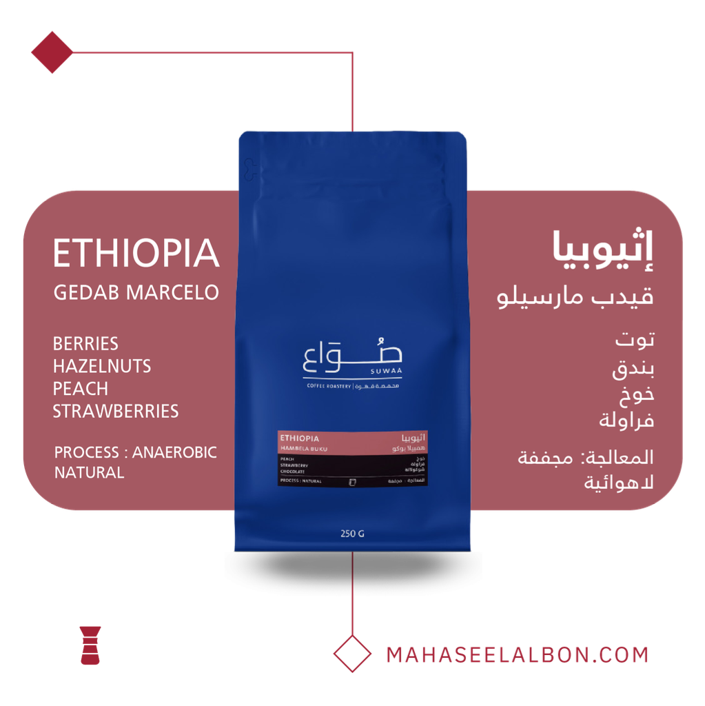 Ethiopia - Gedab Marcelo - 1kg - Suwaa Roastery