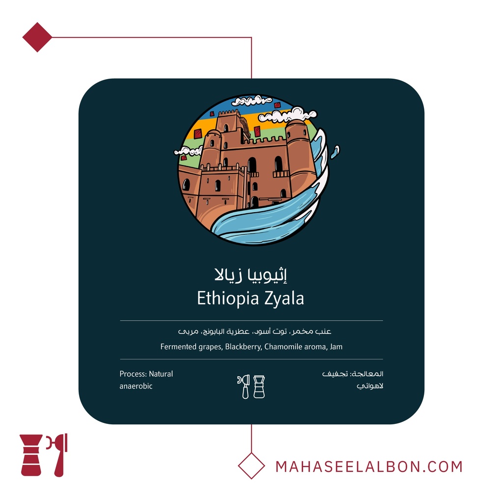 اثيوبيا يرجاتشيف، زايلا - ٢٥٠ جرام - محمصة أسطول البن