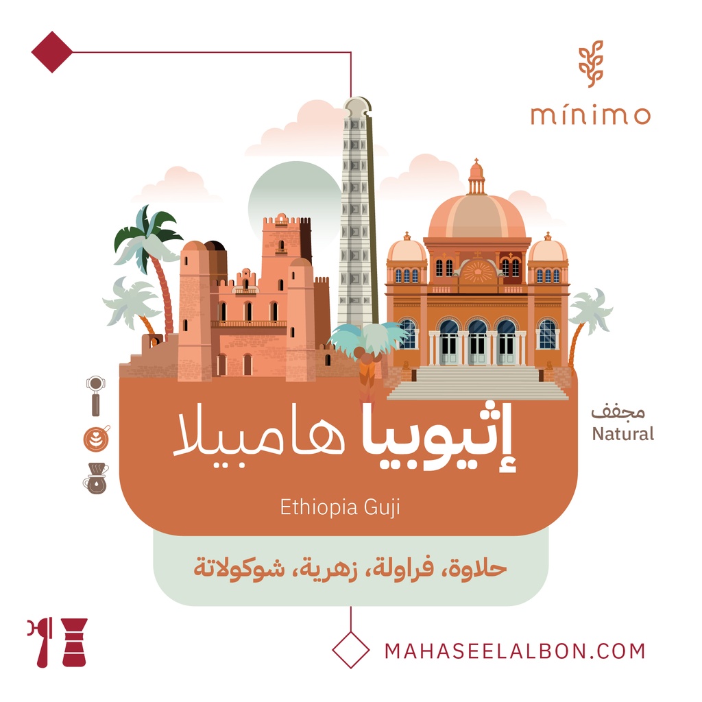 اثيوبيا همبيلا - ٢٥٠ جرام -  محمصة مينيمو