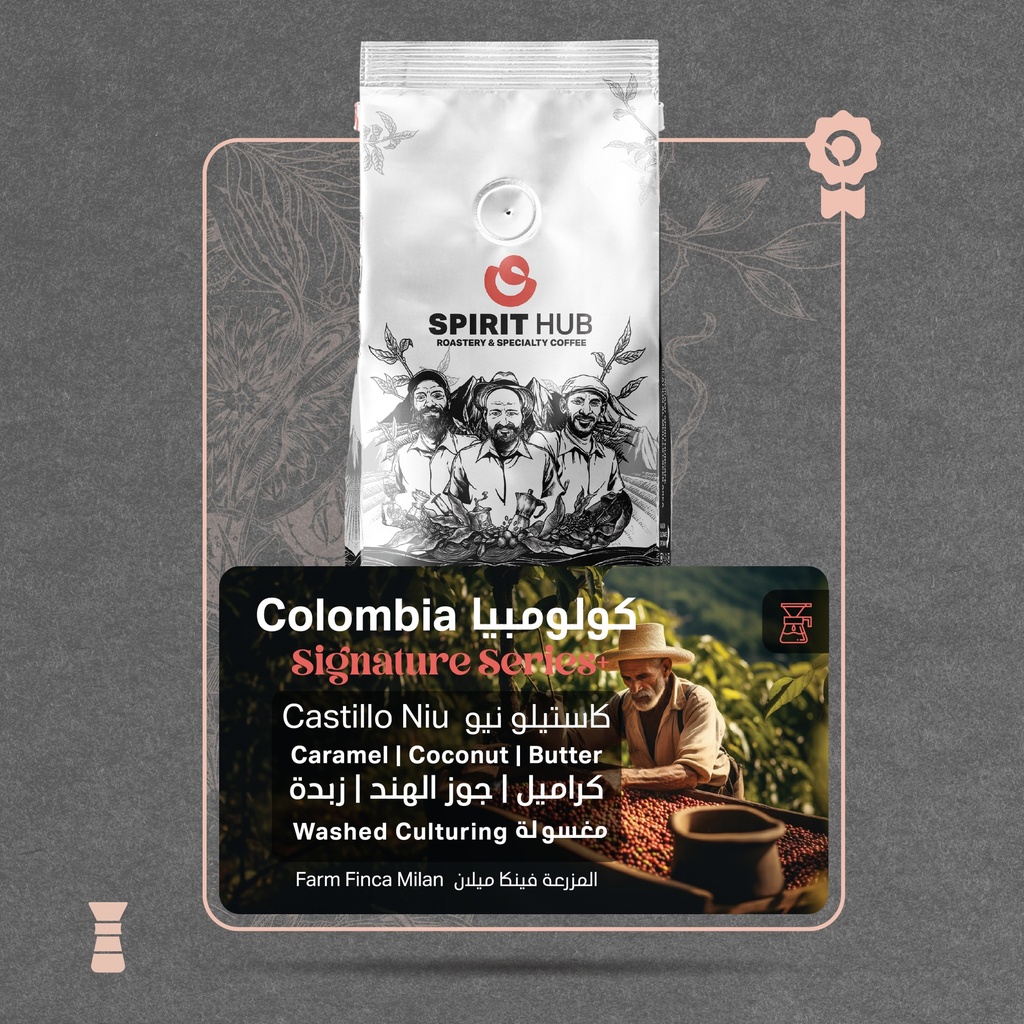 Colombia - Castillo (Premium  Lot) - Spirit Hub Roastery