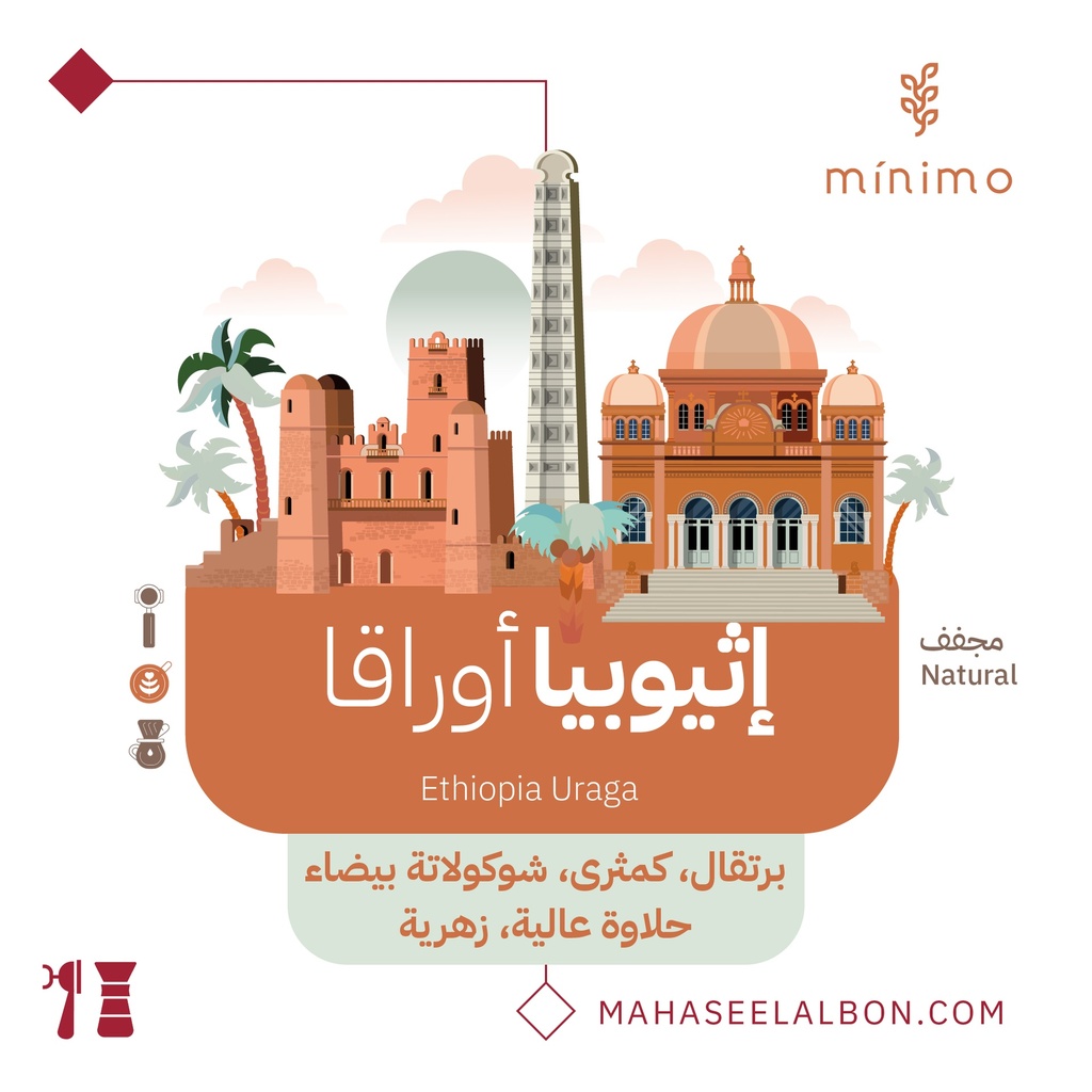 اثيوبيا أورقا - ٢٥٠ جرام -  محمصة مينيمو