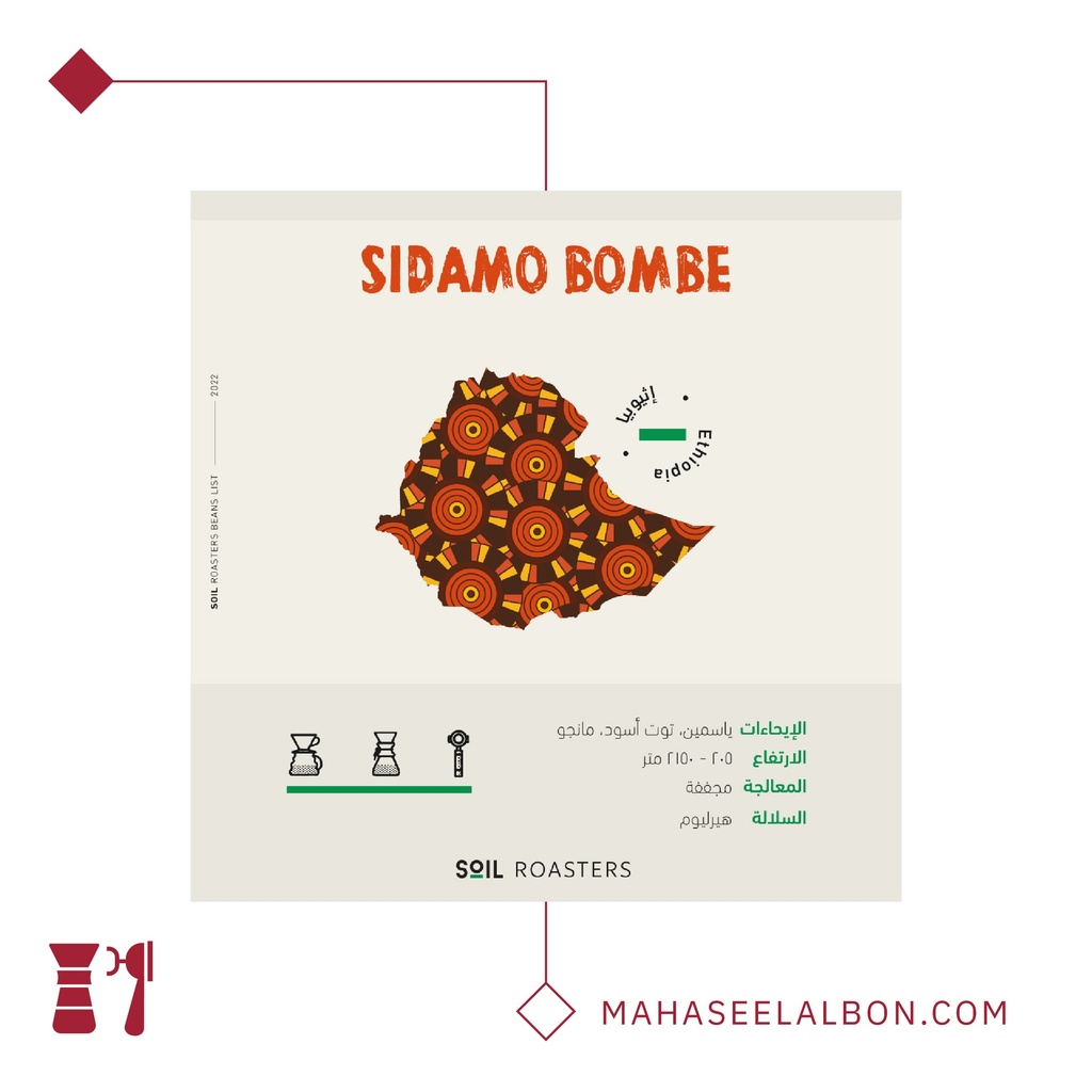 Ethiopia - Sidamo Pompeii - 1kg - Soil Roastery