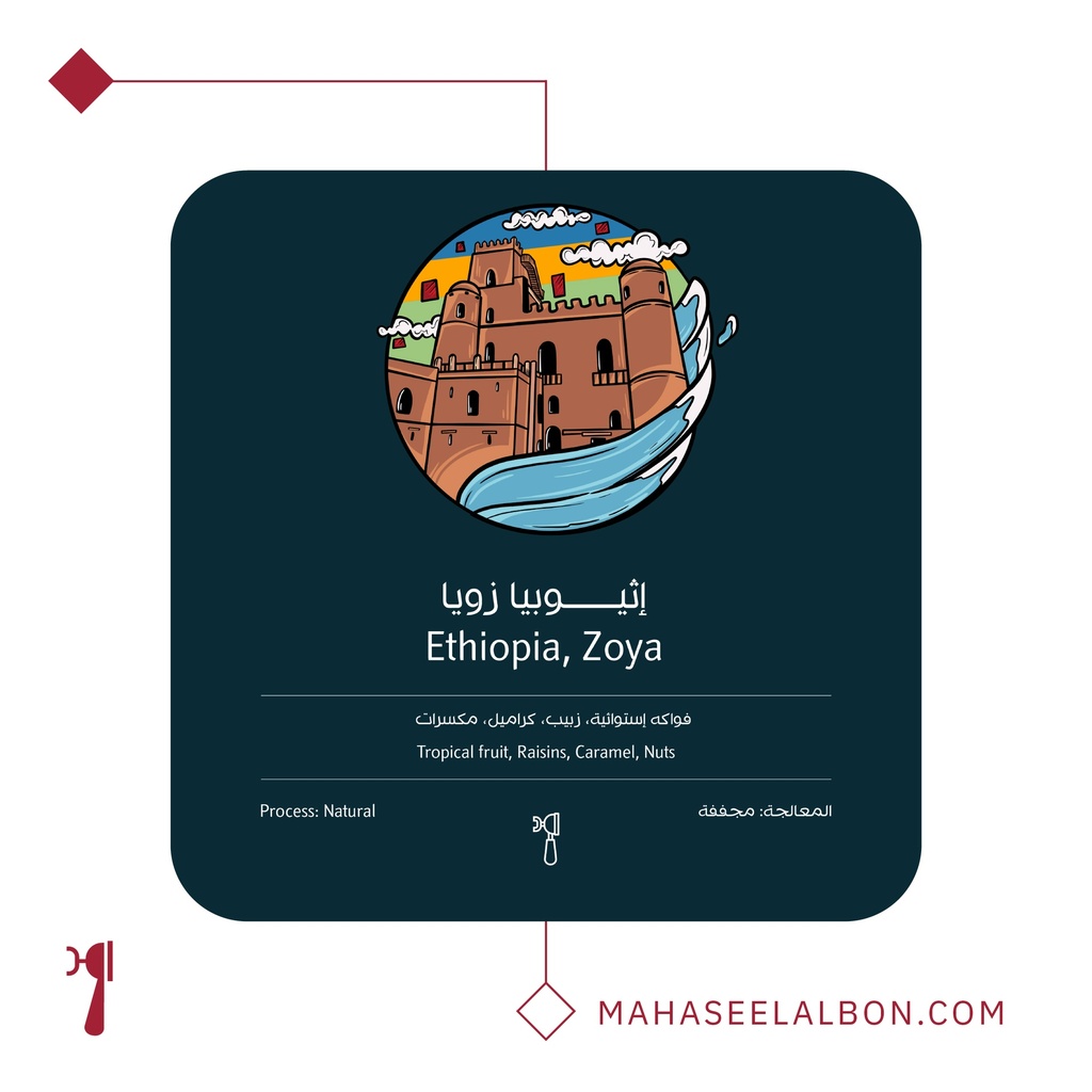 اثيوبيا زويا - ٢٥٠ جرام - محمصة أسطول البن
