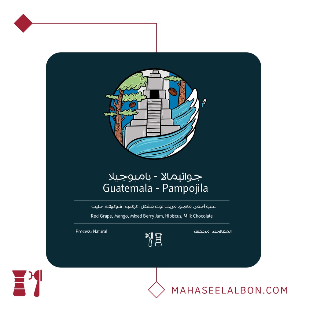 Guatemala - Pampojila- 250G -Ostool Albon Roastery