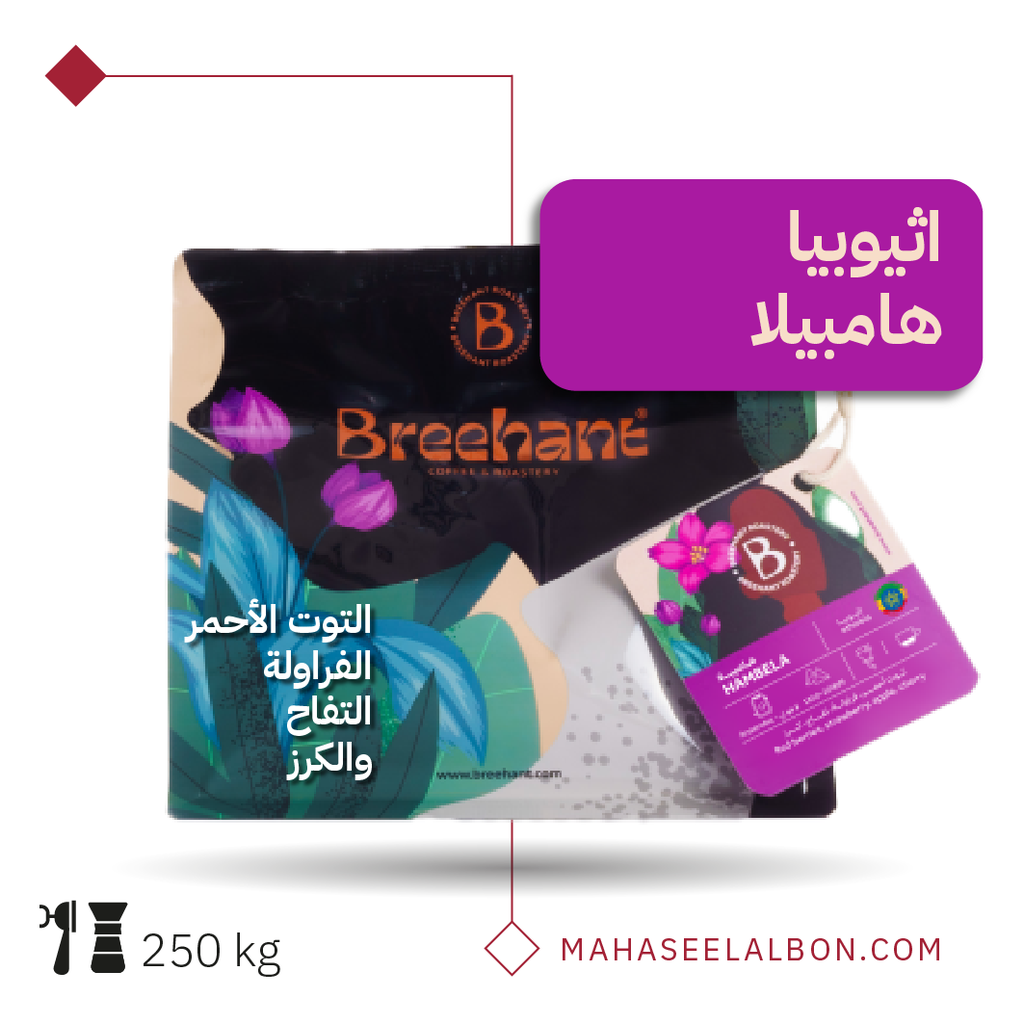 Ethiopia - Hambela - 250g - Breehant Roastery