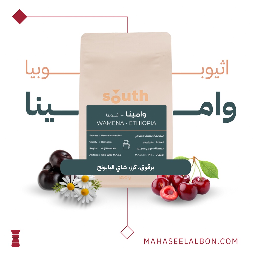 اثيوبيا - وامينا فلتر - 250 جرام - محمصة ساوث