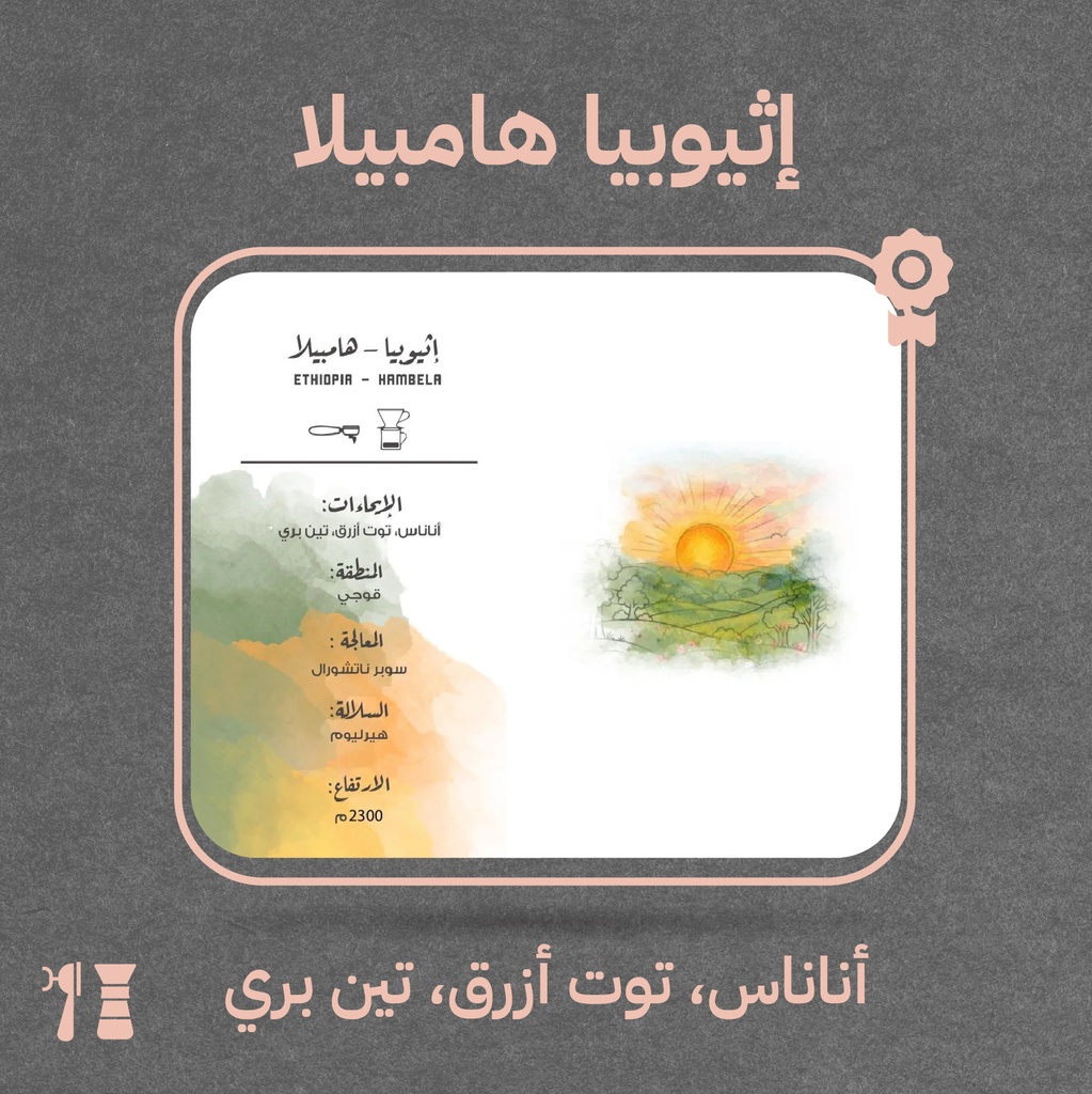 إثيوبيا - هامبيلا (محصول فاخر)- ٢٥٠جرام - محمصة مصنع القهوة