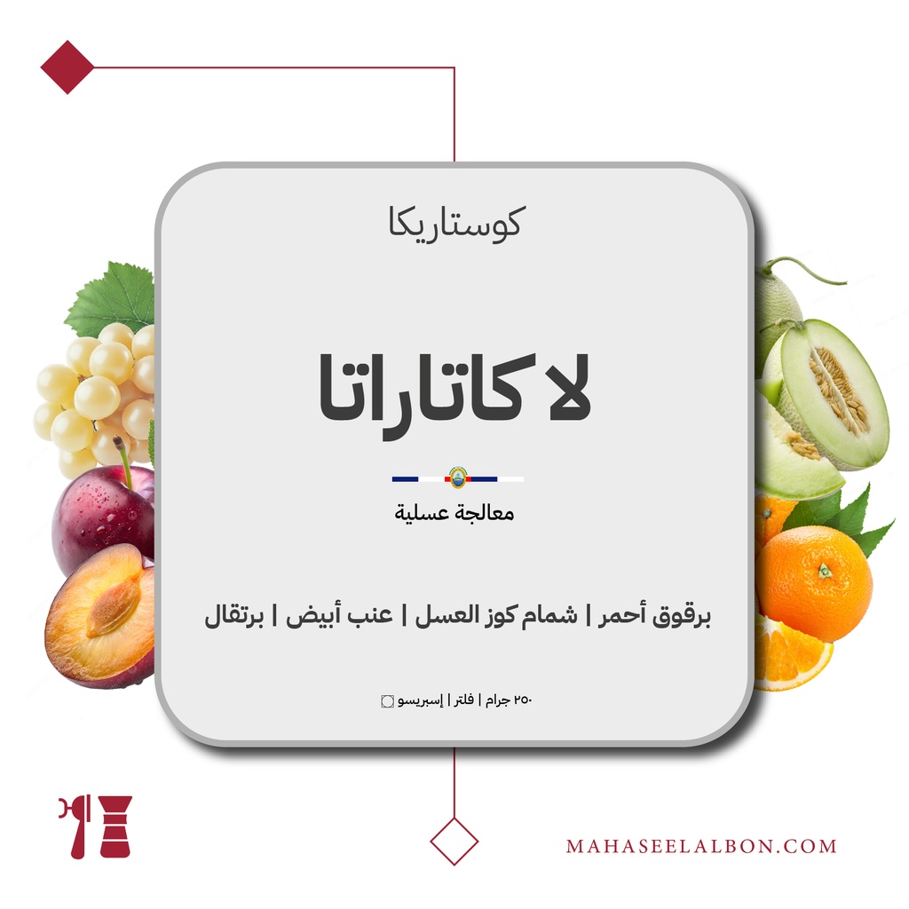 كوستاريكا - لا كاتاراتا - ٢٥٠  جرام - محمصة أزورا