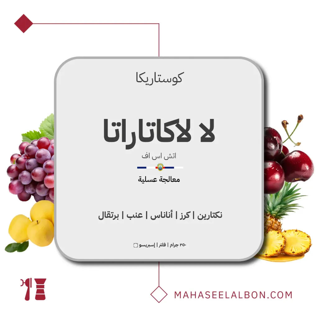 كوستاريكا - لا كاتاراتا (اتش اس اف)- ٢٥٠ جرام - محمصة أزورا