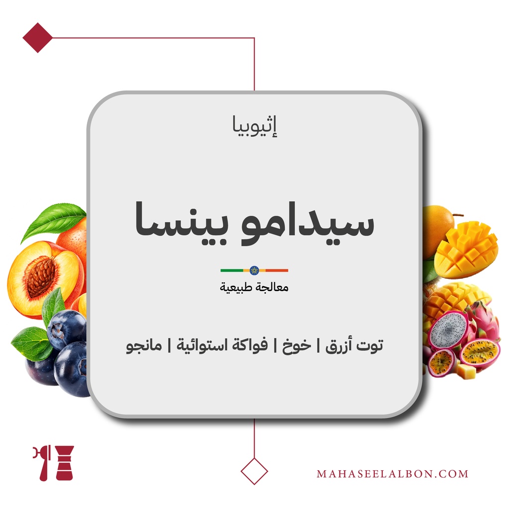 إثيوبيا - سيدامو بينسا - ٢٥٠  جرام - محمصة أزورا