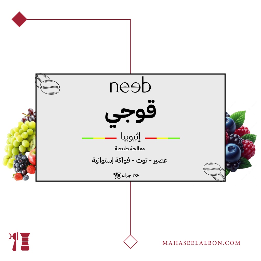Ethiopia - Guji -250 g - Neeb Roastery