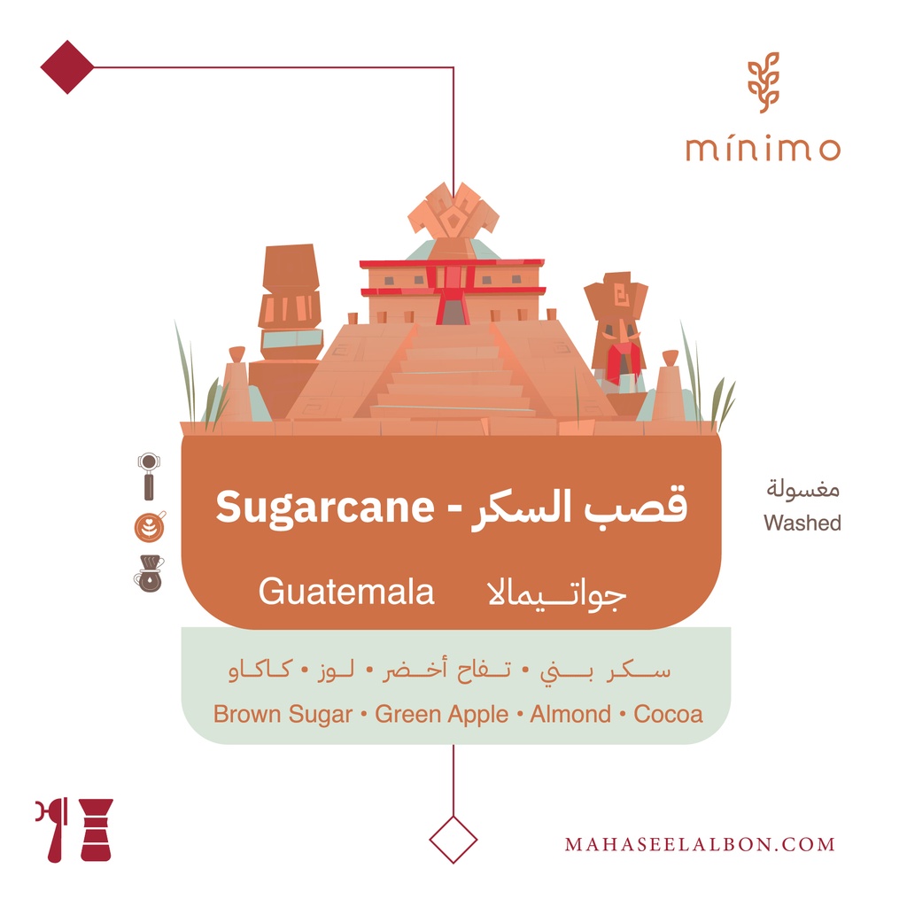 Guatimala - Sugarcane -250g- Minimo Roastery