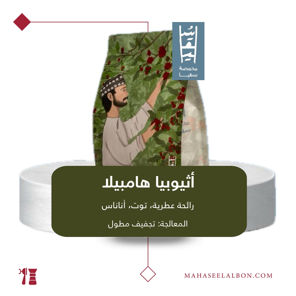 اثيوبيا - هامبيلا - ٢٥٠  جرام - محمصة سقيا