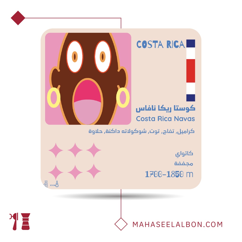 Costa Rica - Navas - 250g - Olala Roastery