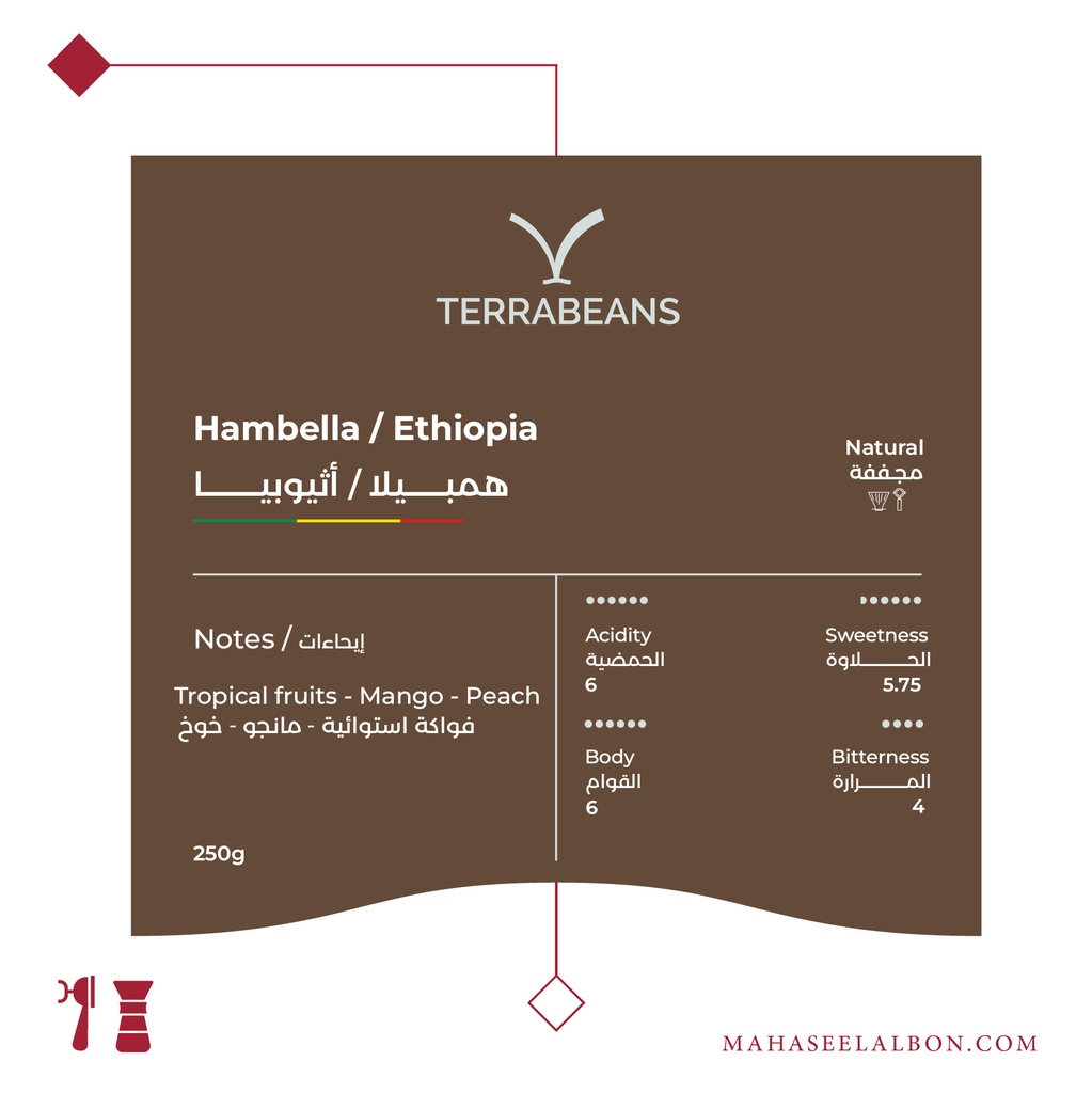 إثيوبيا - قوجي همبيلا - ٢٥٠  جرام - محمصة تيرا بينز