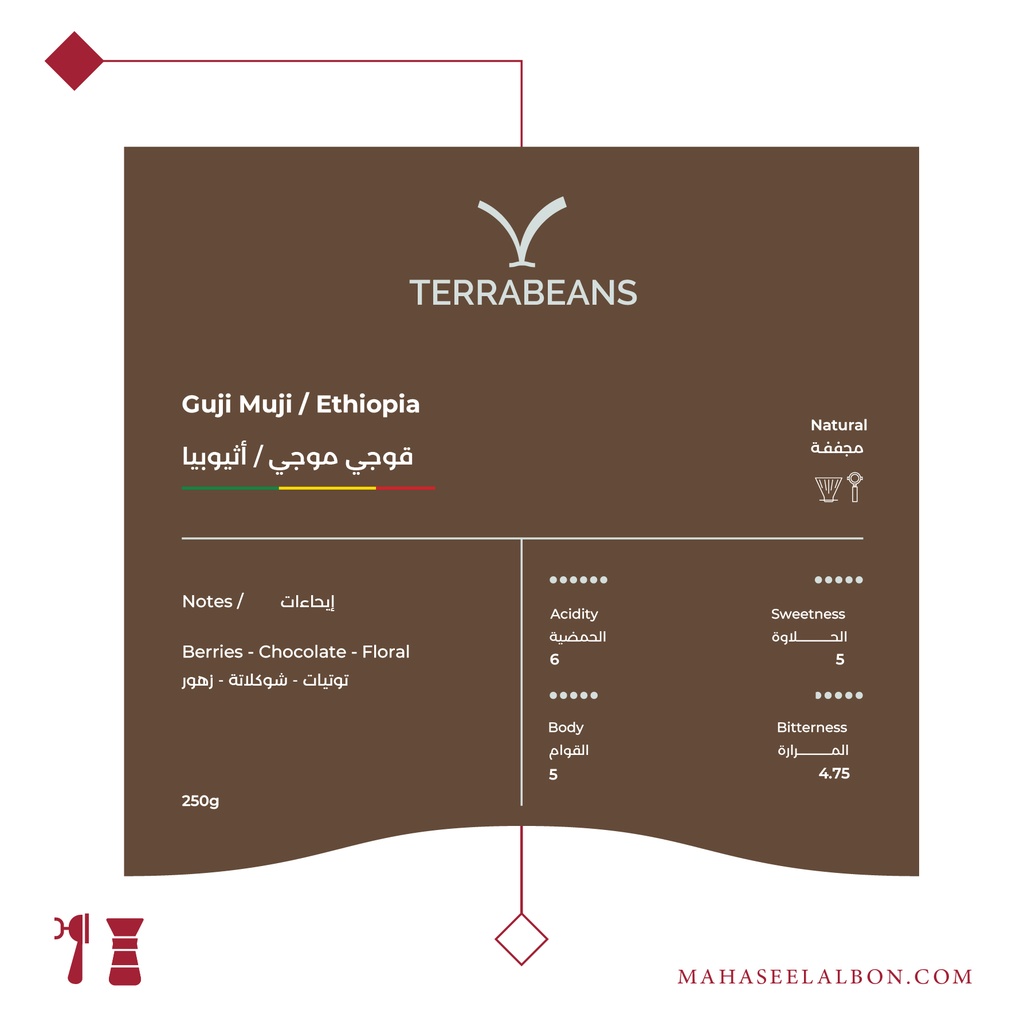 إثيوبيا - قوجي موجي - ٢٥٠ جرام - محمصة تيرا بينز