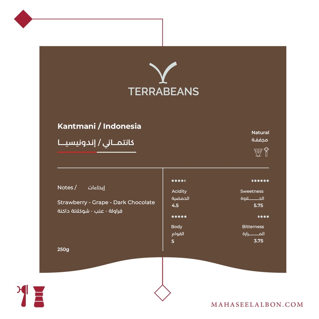 إندونيسيا - كانتماني - ٢٥٠  جرام - محمصة تيرا بينز