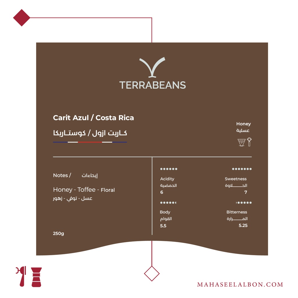 كوستاريكا - كاريت ازول - ٢٥٠  جرام - محمصة تيرا بينز