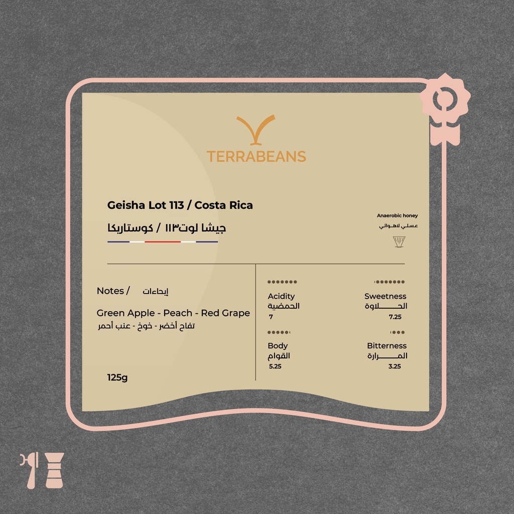 Costa Rica 90+ - Geisha Lot113 (Limited Lot)- 125g - Terra Beans Roastery