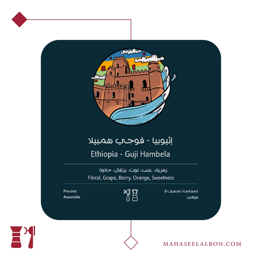 اثيوبيا - قوجي همبيلا(اللاهوائية) - ٢٥٠  جرام - محمصة أسطول البن