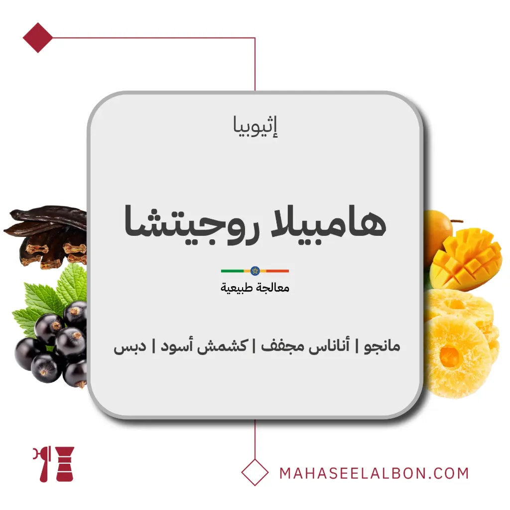 إثيوبيا - هامبيلا روجيتشا - ٢٥٠  جرام - محمصة أزورا