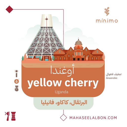 Uganda - Yellow Cherry - Minimo Roastery