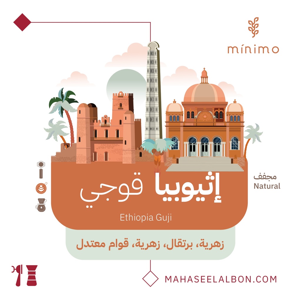 اثيوبيا - قوجي -٢٥٠جرام-  محمصة مينيمو