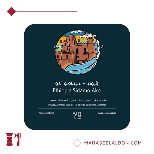 Ethiopia Sidamo Ako - 250g - Ostool Albon Roastery