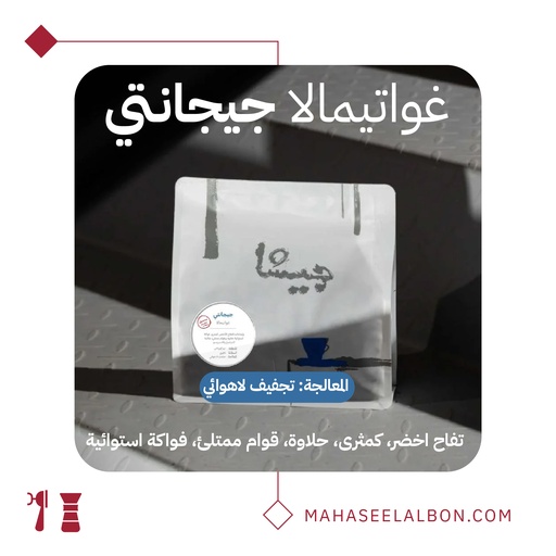 غواتيمالا - جيجانتي - ٢٥٠ جرام - محمصة جيشا