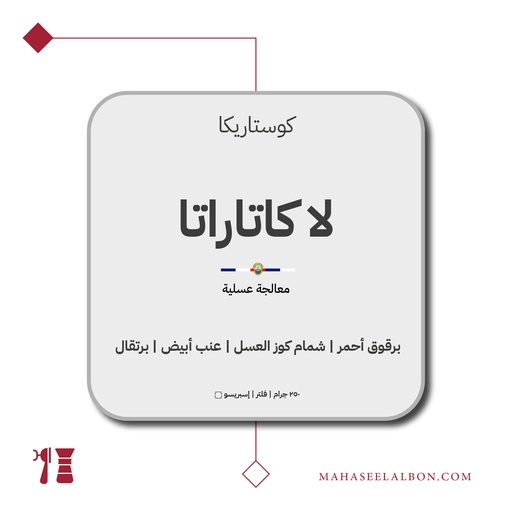 كوستاريكا - لا كاتاراتا - ٢٥٠ جرام - محمصة أزورا