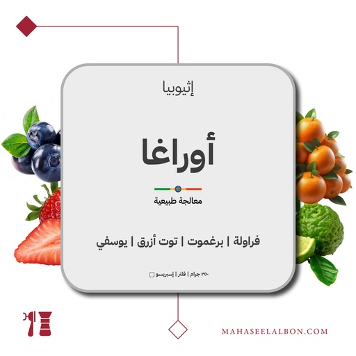 إثيوبيا - أوراغا - ٢٥٠ جرام - محمصة أزورا