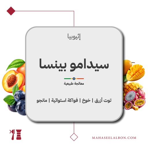 إثيوبيا - سيدامو بينسا - ٢٥٠ جرام - محمصة أزورا