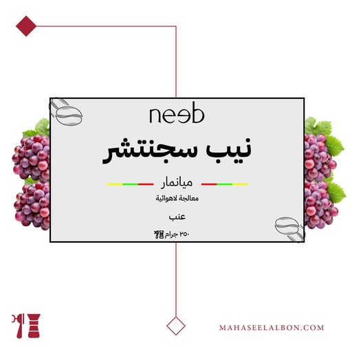 ميانمار - نيب سجنتشر - ٢٥٠ جرام - محمصة نييب