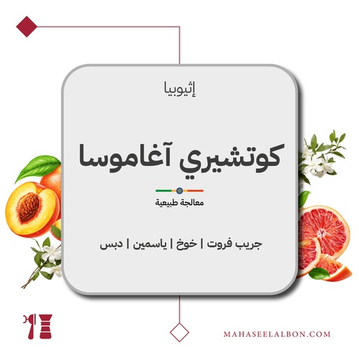 إثيوبيا - كوتشيري آغاموسا - ٢٥٠ جرام - محمصة أزورا