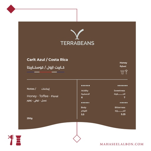 Costa Rica - Carit Azul - 250g - Terra Beans Roastery