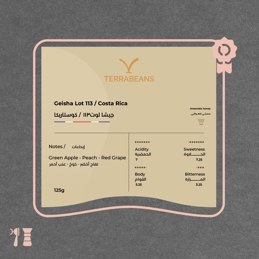 Costa Rica 90+ - Geisha Lot113 (Limited Lot)- 125g - Terra Beans Roastery